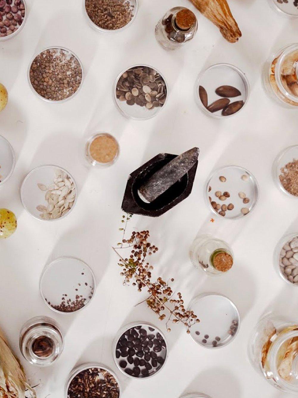 seed bank